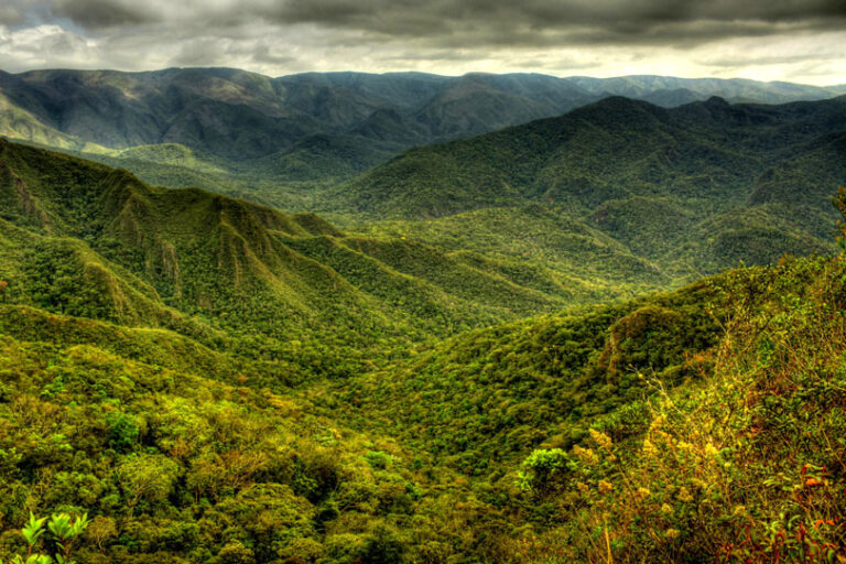 Justiça de Santa Bárbara impede projeto de mineração na Serra do Gandarela