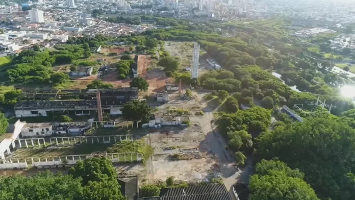 Foto: Reprodução TV TEM