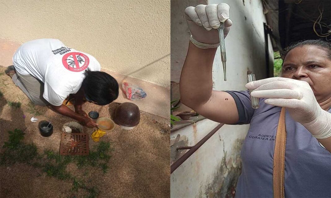 Sem Título-1 Município decretou Situação de Emergência pela grande ocorrência do mosquito transmissor das doenças nos domicílios da cidade