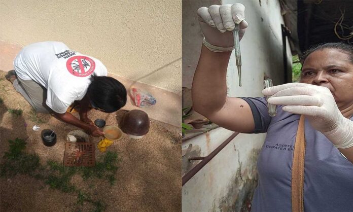 Município decretou Situação de Emergência pela grande ocorrência do mosquito transmissor das doenças nos domicílios da cidade