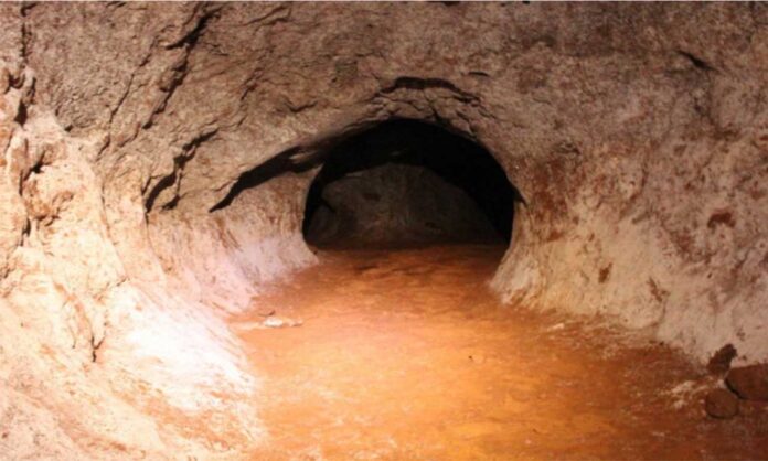 Formações de cavernas indicam possível ocorrência de fósseis e são fontes ricas de pesquisas sobre ocorrência da preguiça gigante
