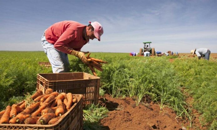 Curso voltado para o agricultor familiar tem inscrições abertas até 23 de junho e oferece 50 vagas para os interessados