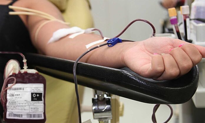 Sangue Para estimular doações, Projeto Sangue Nosso Mais Vida é desenvolvido por enfermeira voluntária com apoio da Prefeitura e empresas de transporte