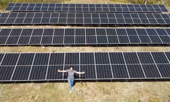 Bruna Meirelles Em três anos, empresa especializada em energia solar fotovoltaica instalou mais de 20 mil módulos pelo país e atua com destaque na transição energética