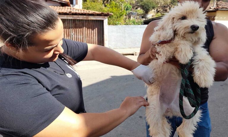 São Gonçalo do Rio Abaixo começa a vacinar cães e gatos contra a raiva