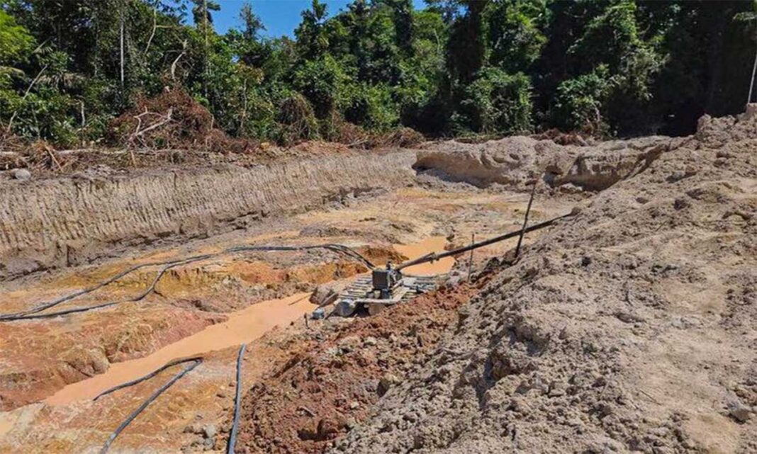 Quadrilha que atuava em unidade de conversação do Mato Grosso provocou desmatamento e danos em rios; Presidente de Cooperativa de Mineração foi preso