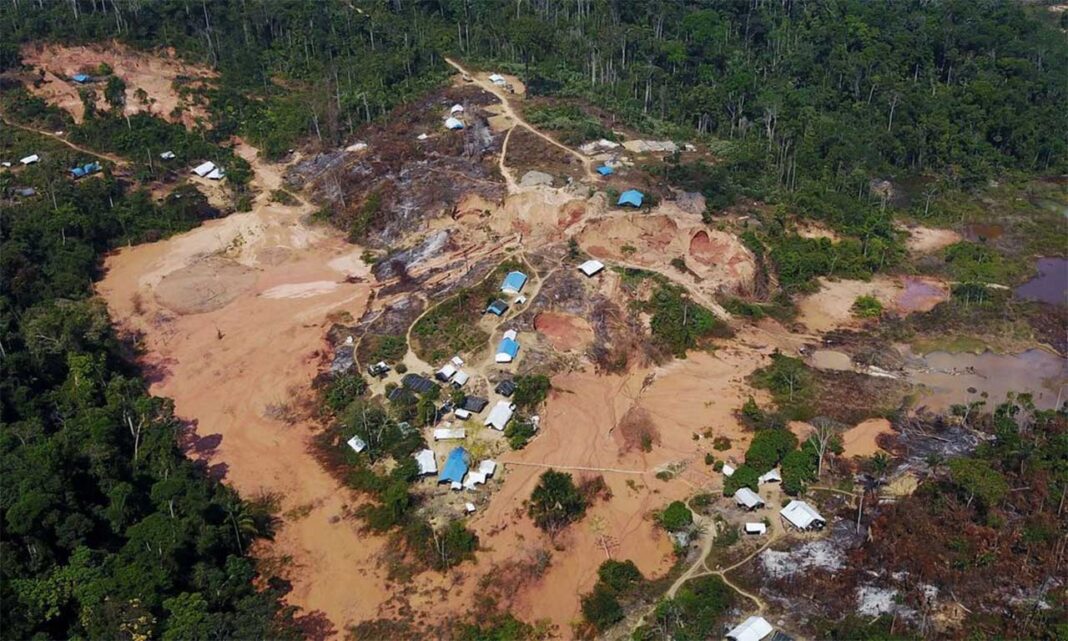 Presidente do Ibram estima que existam cerca de 90 mil garimpeiros no país e defende que é preciso estimular que pessoas atuem dentro da lei para evitar danos à natureza e à sociedade