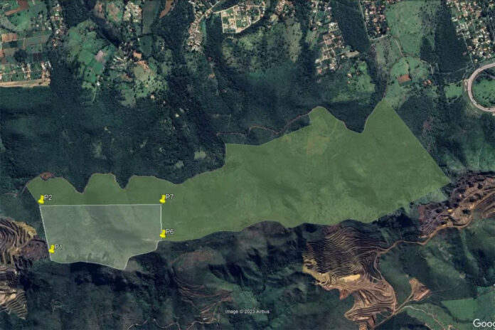 Sem Título-1 Preservação do que restou de bioma situado em área da Mineração Usiminas é tratada como essencial para garantir abastecimento de água à Região Metropolitana de Belo Horizonte