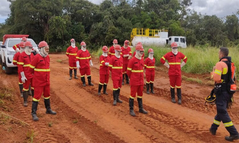 Gerdau mobiliza Brigada Florestal na prevenção de incêndios em 30 municípios Gerdau mobiliza Brigada Florestal na prevenção de incêndios em 30 municípios