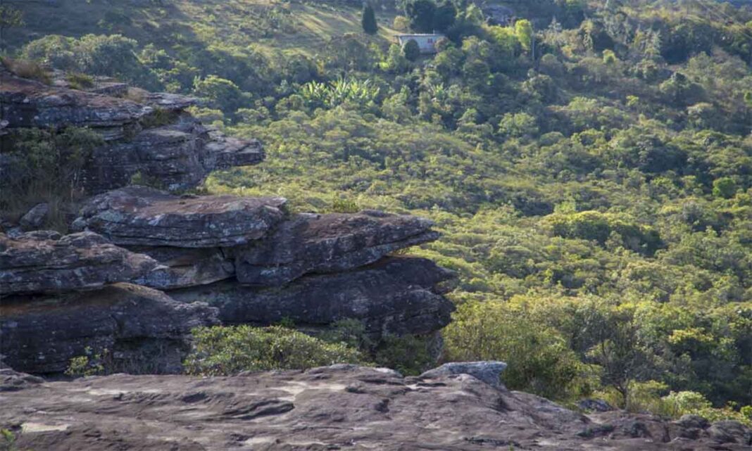 Em parceria com Semad e IEF, empresa irá iniciar experiência em APA de Ouro Preto, em programa que poderá abranger 540 hectares na região - Vale