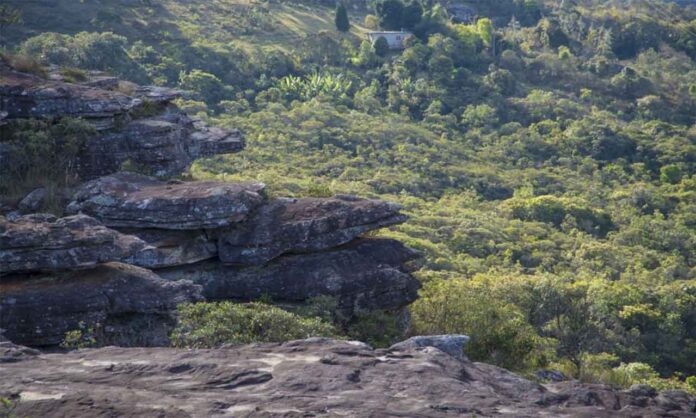 Em parceria com Semad e IEF, empresa irá iniciar experiência em APA de Ouro Preto, em programa que poderá abranger 540 hectares na região - Vale