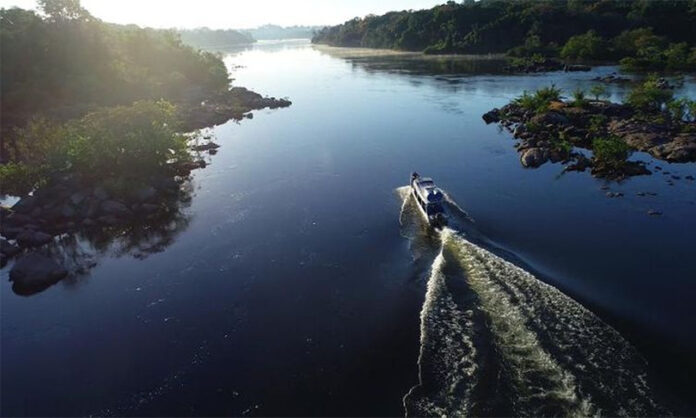 Edital no âmbito do Programa Floresta Viva destinará até R$ 26,7 milhões para projetos da bacia hidrográfica do Rio Xingu, na Amazônia - Fundo Vale