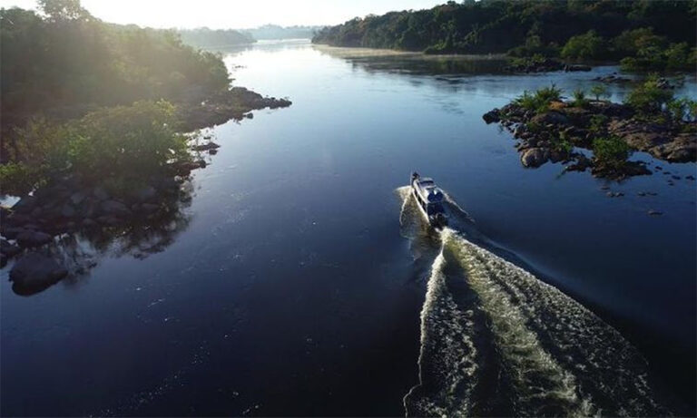Edital no âmbito do Programa Floresta Viva destinará até R$ 26,7 milhões para projetos da bacia hidrográfica do Rio Xingu, na Amazônia - Fundo Vale