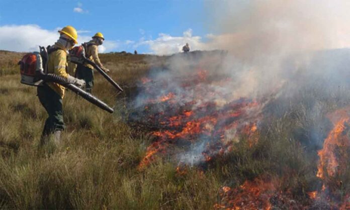 Sem Título-8 Temperatura pode chegar aos 39 graus em algumas regiões do estado; Termômetros poderão registrar temperaturas 5 graus acima da média histórica de Minas - Incêndios Florestais