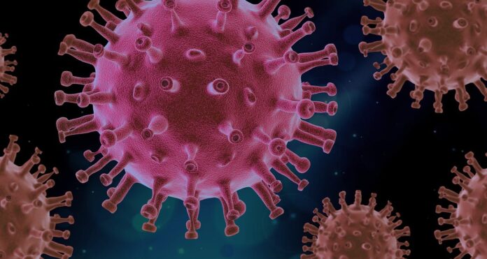 OMS alerta: aumento de hospitalizações pela Covid-19 é descaso dos países