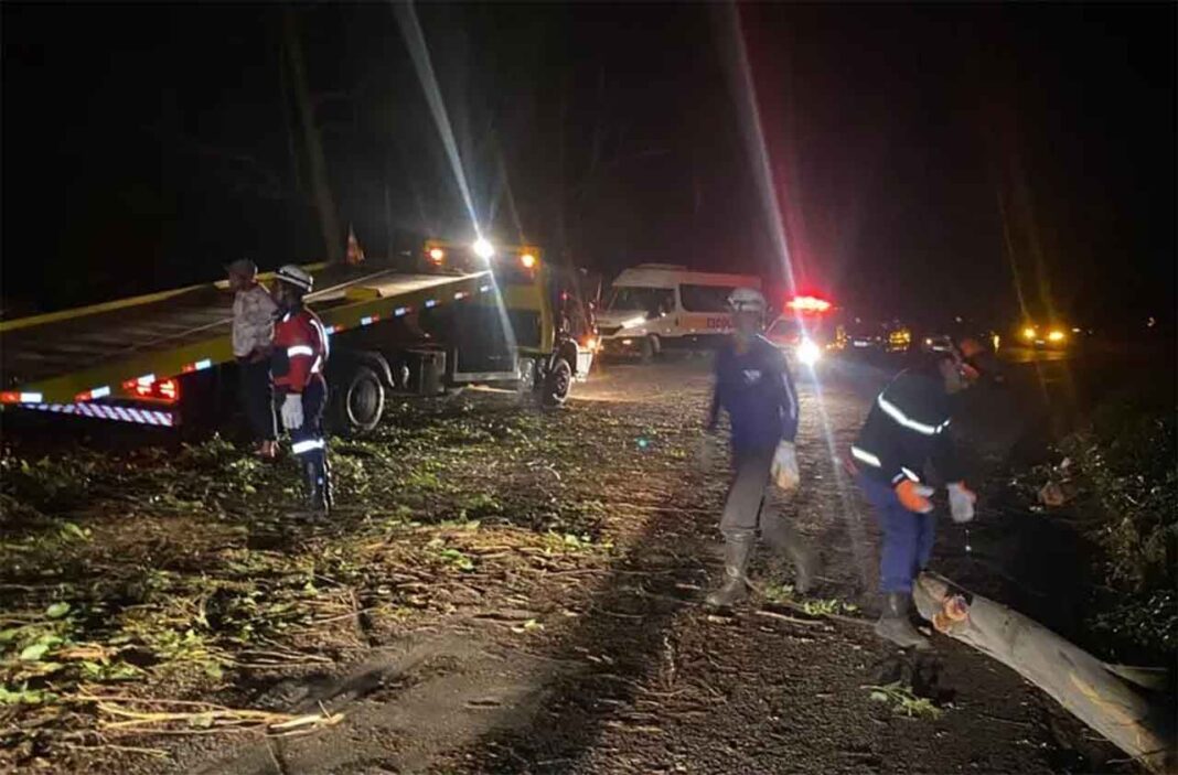 1 Queda de árvores danificou rede elétrica e comprometeu trânsito em vias públicas e na BR-381; Temporal deixou casas destelhadas e danificou veículos