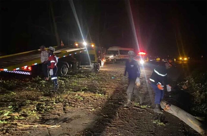 Queda de árvores danificou rede elétrica e comprometeu trânsito em vias públicas e na BR-381; Temporal deixou casas destelhadas e danificou veículos
