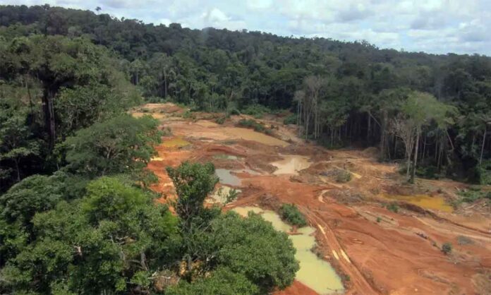 Entidade assegura que empresas associadas não utilizam substância em seus processos produtivos; PF investiga empresas que usam mercúrio no garimpo clandestino - Ibram