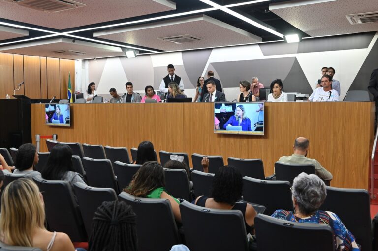 Comunidades atingidas por barragens participam de audiência pública na ALMG