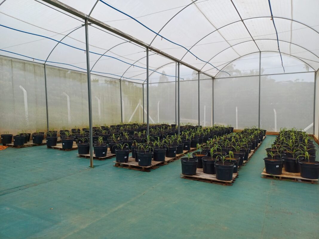 Inciativa de empresa especializada em transformação de resíduos contribui com a economia circular e projeto da Biosfera vira exemplo para indústrias que buscam se adequar à necessidade de descarbonizar a produção