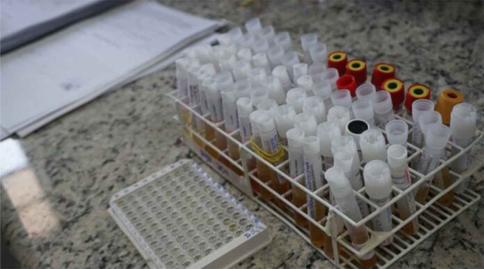 Ao todo, 415 casos já foram confirmados no estado, que registra também ocorrências de febre Chikungunya e Zika Vírus; Boletins sobre a situação em Minas são divulgados quinzenalmente