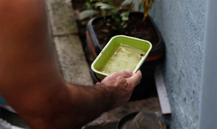 Ao todo, Minas já registrou 11.658 casos prováveis de dengue; SES-MG dá dicas sobre como evitar a proliferação do mosquito transmissor das doenças