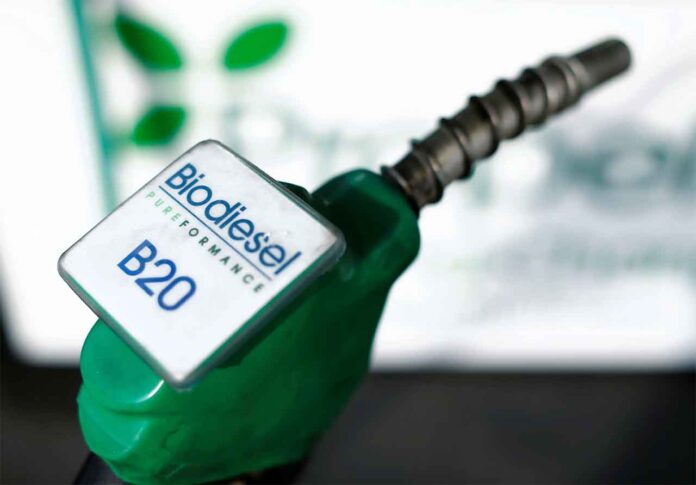 Regiões como o Vale do Jequitinhonha deverão ser beneficiadas com a produção de biocombustíveis; Mistura de biodiesel aos combustíveis fósseis deve chegar a 15% até 2026