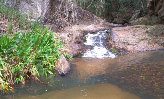 Sem Título-8 Programa Mina D´Água tem como foco a recuperação e proteção das nascentes, contribuindo ainda para a revitalização da mata ciliar na região da Serra Azul; Inscrições vão até 17 de fevereiro