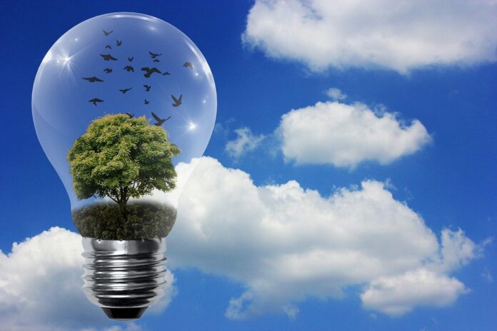 Estado formalizou cerca de R$ 3,9 bilhões em investimentos em projetos relacionados com fontes alternativas de energia