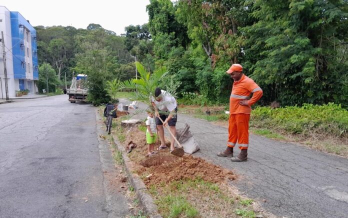 Município ainda produziu mais de 87 mil mudas entre 2021 e 2023; Recuperação de áreas públicas degradadas chegou a 60.000 m² em Ipatinga