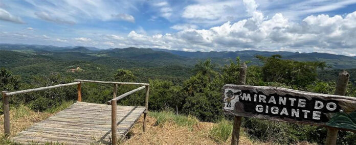 Sem Título-12 Percurso de 1,7 km em mata fechada leva ao Mirante do Gigante, onde foi construído um novo deque; Ipoema atrai turistas até de fora do Brasil por sua rica biodiversidade a equipamentos turísticos