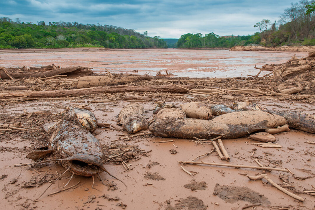 Estados trabalham para a homologação judicial de um novo acordo junto à mineradora Samarco e as acionistas Vale e BHP por conta do rompimento da barragem de Fundão, em novembro de 2015; Mineradoras já foram condenadas a pagar R$ 47,6 bilhões, mas decisão cabe recurso - Minas Gerais