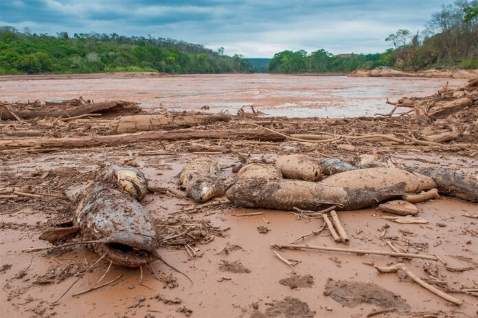 Estados trabalham para a homologação judicial de um novo acordo junto à mineradora Samarco e as acionistas Vale e BHP por conta do rompimento da barragem de Fundão, em novembro de 2015; Mineradoras já foram condenadas a pagar R$ 47,6 bilhões, mas decisão cabe recurso - Minas Gerais