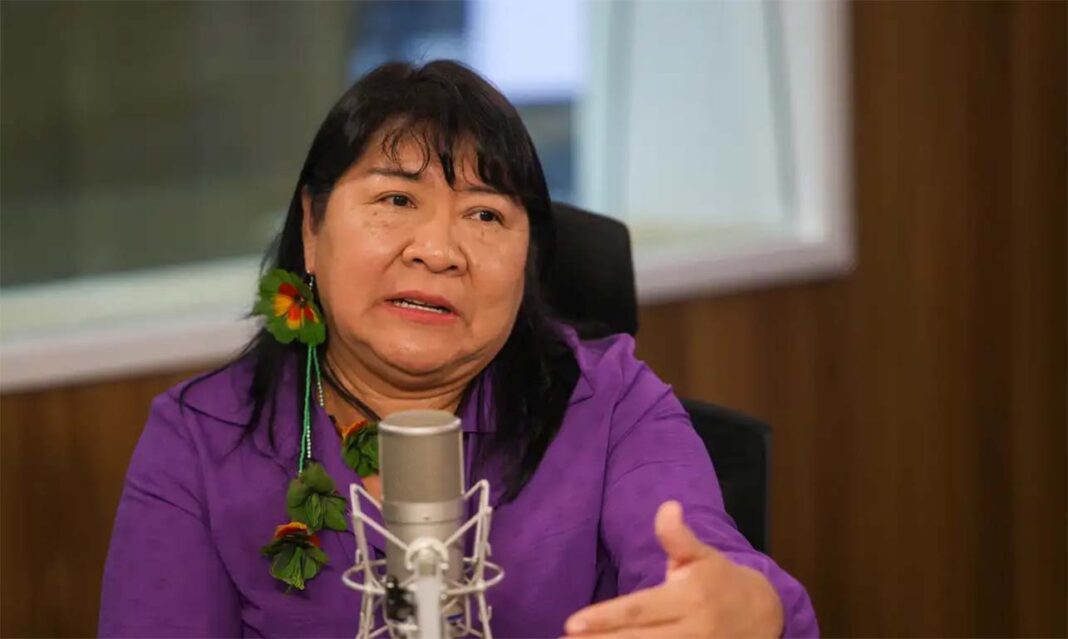 Presidente da entidade, Joenia Wapichana apontou que desde o início de o 2023 a fundação voltou a cumprir a missão institucional de defender os povos indígenas, após o que ela classifica como desmonte das políticas indigenistas, de proteção ambiental e de assistência pelo governo anterior