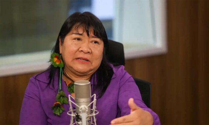 Presidente da entidade, Joenia Wapichana apontou que desde o início de o 2023 a fundação voltou a cumprir a missão institucional de defender os povos indígenas, após o que ela classifica como desmonte das políticas indigenistas, de proteção ambiental e de assistência pelo governo anterior