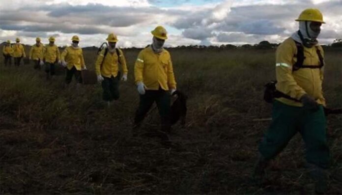 Profissionais irão atuar na prevenção e combate a incêndios florestais no Estado; Edital está disponível na internet e inscrições vão até 29 de abril