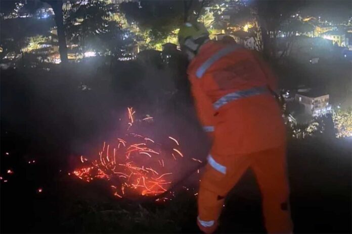 Chamas devastaram área verde de 100 m2 do Pico do Amor; Acionados por funcionários que já combatiam as chamas, Bombeiros agiram rápido e evitaram danos maiores ao patrimônio natural