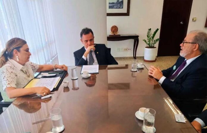 Sem Título-8 Raul Jungmann se reuniu com Rodrigo Pacheco para debater a necessidade do reposicionamento do Brasil diante das demandas pela transição energética; Ibram lembra dependência global por minerais críticos e estratégicos