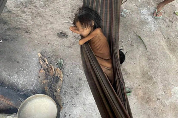 Contaminação de rios por mercúrio ameaça segurança alimentar de povos de reservas Yanomami; Funai lembra que crise humanitária é vivida por cerca de 27 mil indígenas na região