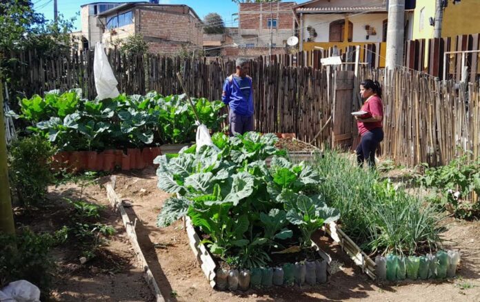 1 Moradores de bairros de Itabira vizinhos de barragem podem ter modo de vida destruídos pela Vale, segundo Assessoria Técnica Independente (ATI) da Fundação Israel Pinheiro (FIP)