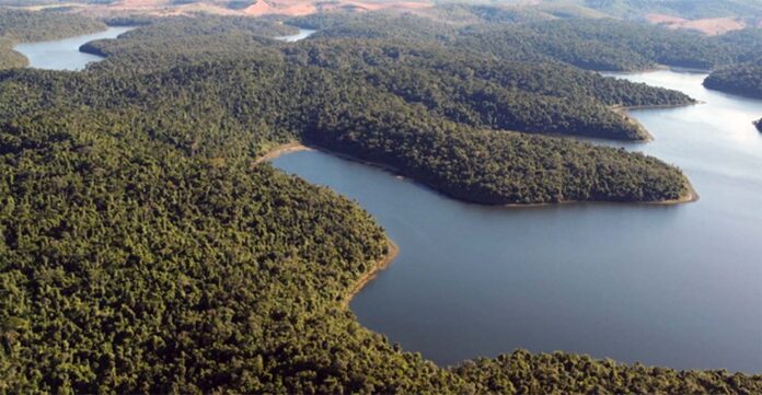 Unidade de Conservação foi a primeira criada em Minas e uma das primeiras do país; Parque é considerado a maior área contínua de Mata Atlântica preservada no estado