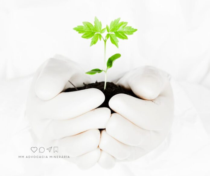 A integração de IA com a biotecnologia pode revolucionar as práticas de sustentabilidade na mineração