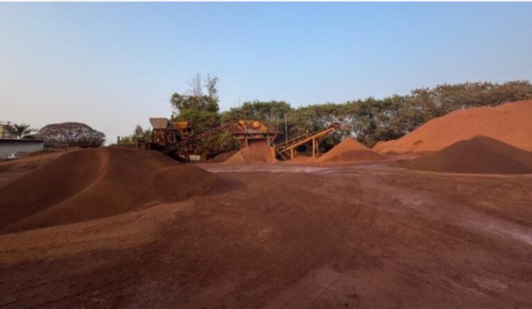 Investigação de atividades ilegais ao longo da BR-040 e em municípios da Região Central do Estado culminaram também na apreensão de 19 veículos de carga pela PF