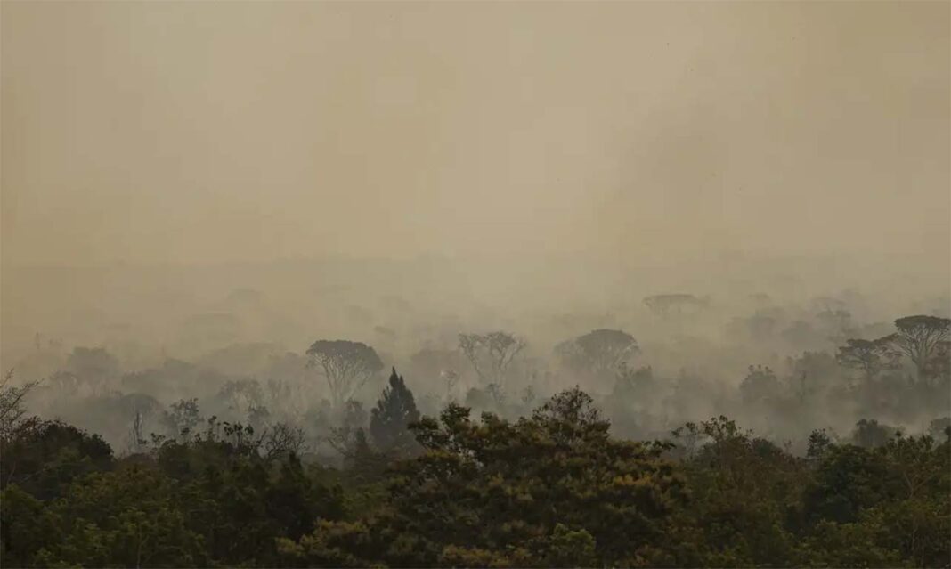 O ano de 2024 já é um dos que registraram maior quantidade de focos de queimadas no país; Efeitos prolongados do El Niño agravaram a situação