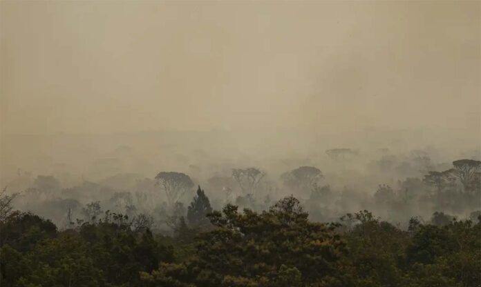 Sem Título-1 O ano de 2024 já é um dos que registraram maior quantidade de focos de queimadas no país; Efeitos prolongados do El Niño agravaram a situação