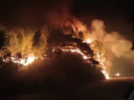 Município do Quadrilátero Ferrífero é um dos 137 em Minas Gerais a declarar Estado de Emergência por conta de queimadas em seu território; Estado registrou mais de mil focos de incêndios somente no último fim de semana