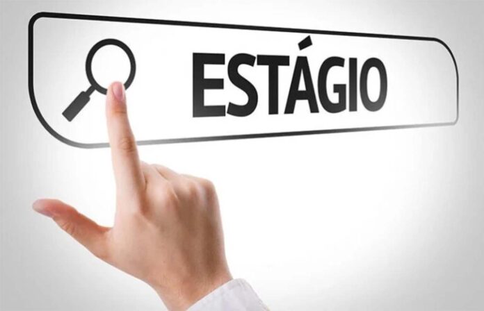 Sem Título-1 Contratação é imediata, com possibilidade de efetivação ao final do período de estágio; Oportunidades são pra atuar no Portal Cidades & Minerais