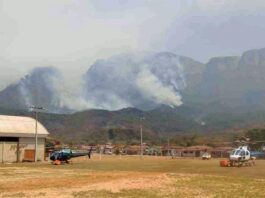 Ainda não foi possível calcular tamanho da área queimada, já que Bombeiros ainda combatem as chamas na unidade de conservação; Santuário segue aberto para visitação do público