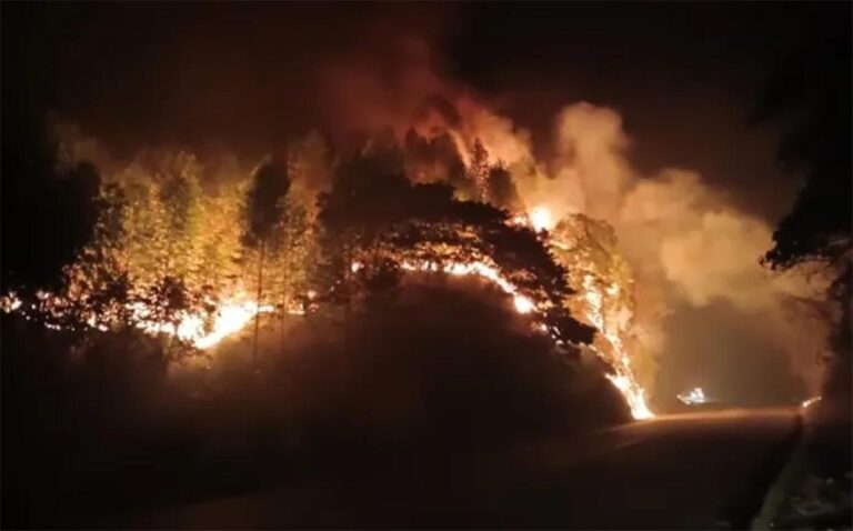 Incêndios florestais de grandes proporções assustam moradores de Barão de Cocais Incêndios florestais de grandes proporções assustam moradores de Barão de Cocais