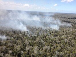 Operação Mata Atlântica em Pé é realizada em parceria com Abrampa com apoio de órgãos ambientais; Órgão Federal pede maior envolvimento de estados e municípios em combate a incêndios florestais